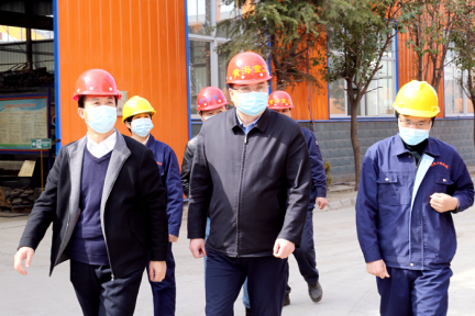 市领导李宗岩、张峰参加调研